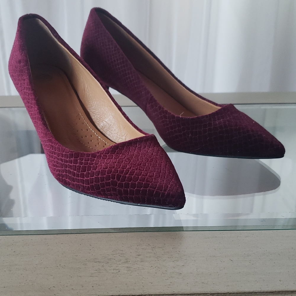 Elegant Burgundy  Velvet Textured Women's Pumps